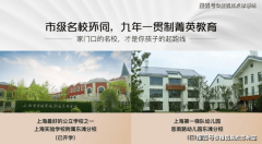 交补交出让金后方让、出租和典质
